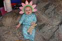 Picture 9030